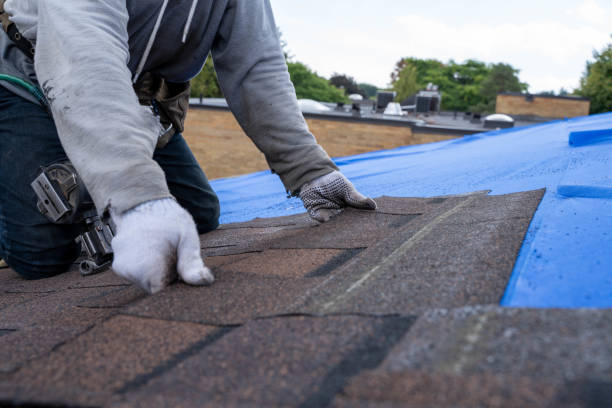 Quick and Trustworthy Emergency Roof Repair Services in West Lafayette, IN