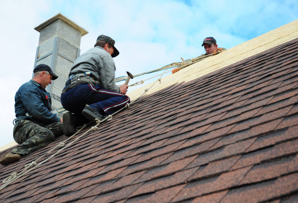 Best Metal Roofing Contractor  in West Lafayette, IN